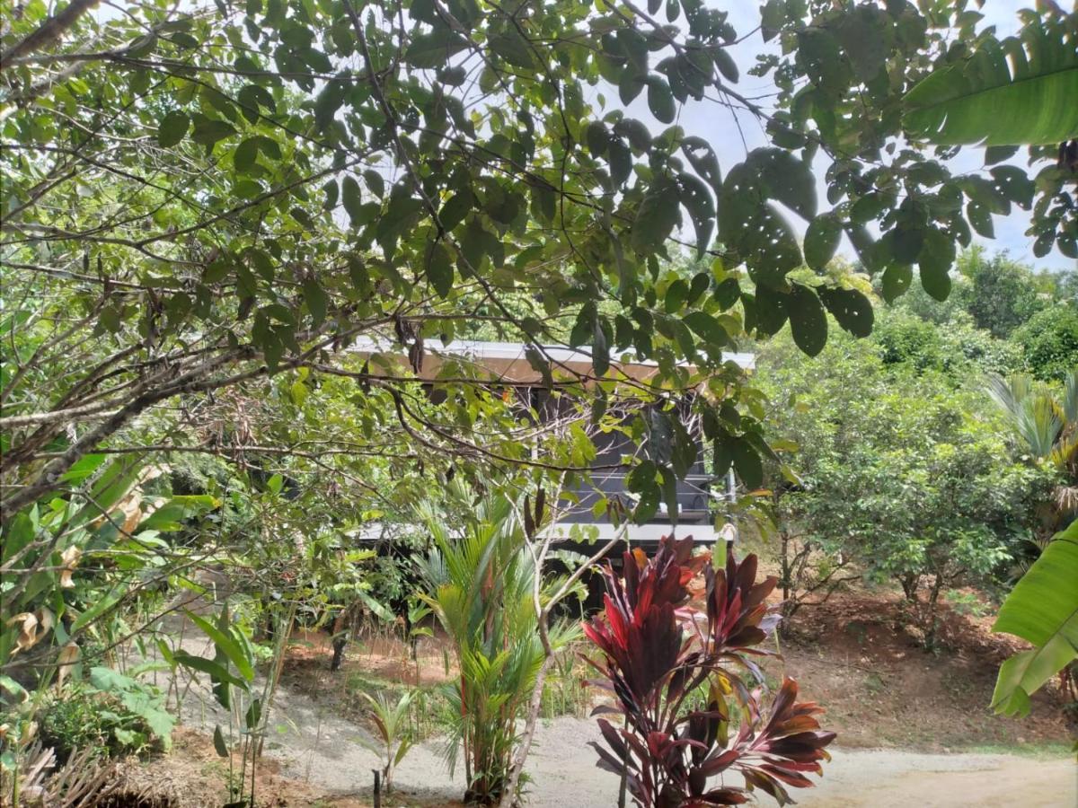 Cabinas Fave Uvita Buitenkant foto