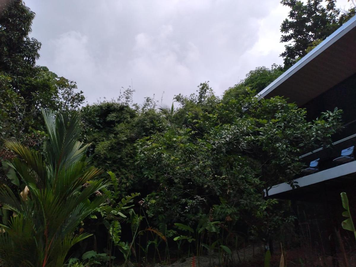 Cabinas Fave Uvita Buitenkant foto