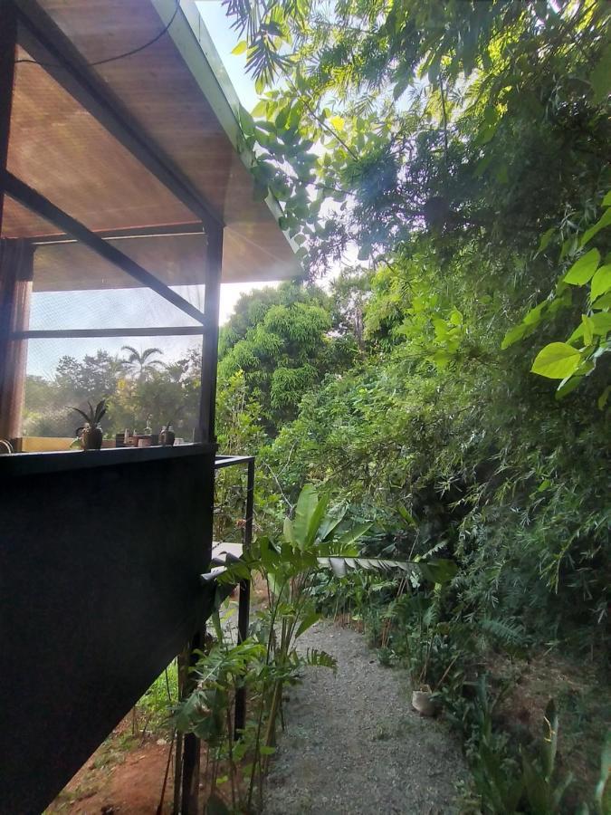 Cabinas Fave Uvita Buitenkant foto