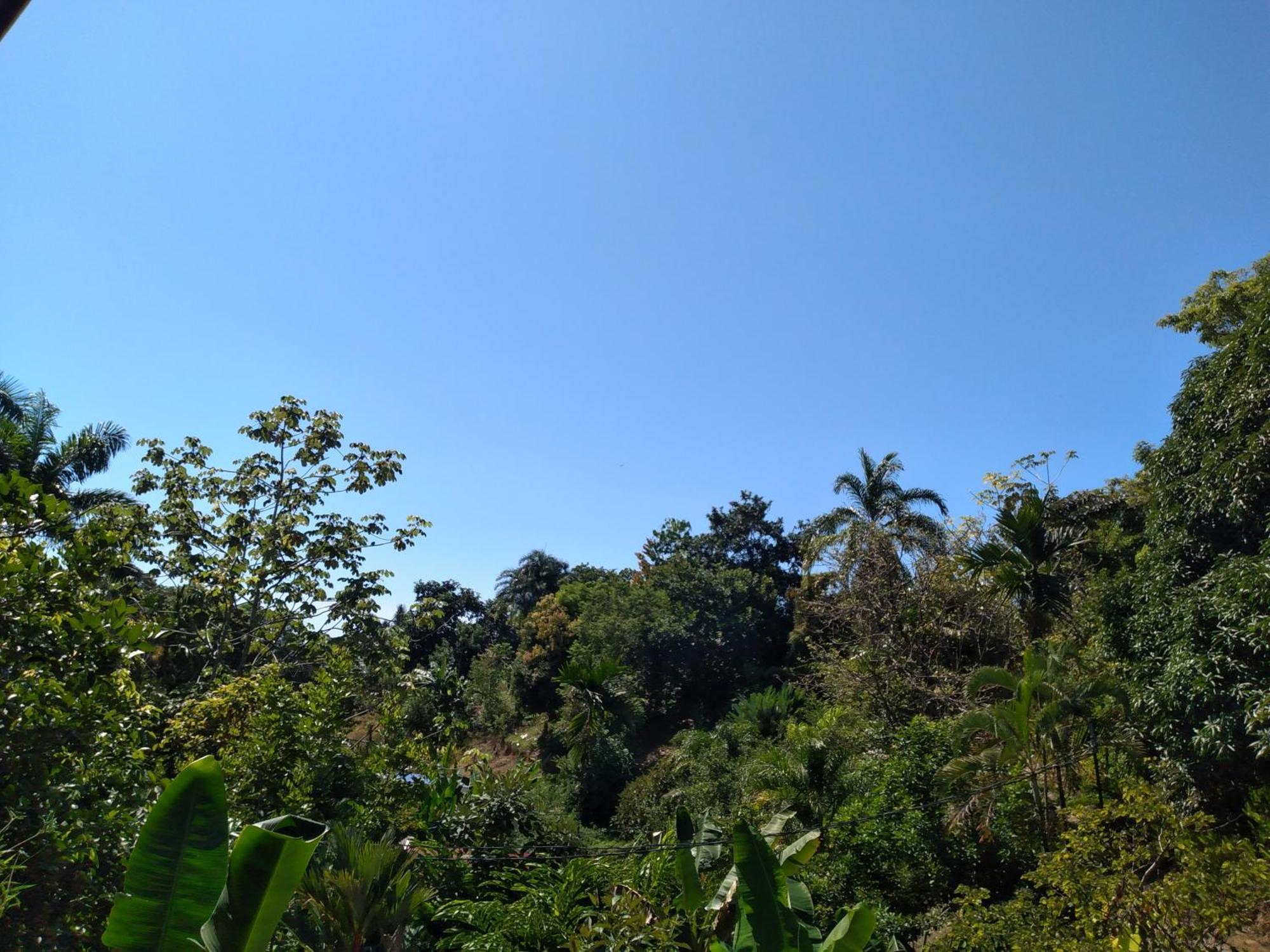 Cabinas Fave Uvita Buitenkant foto