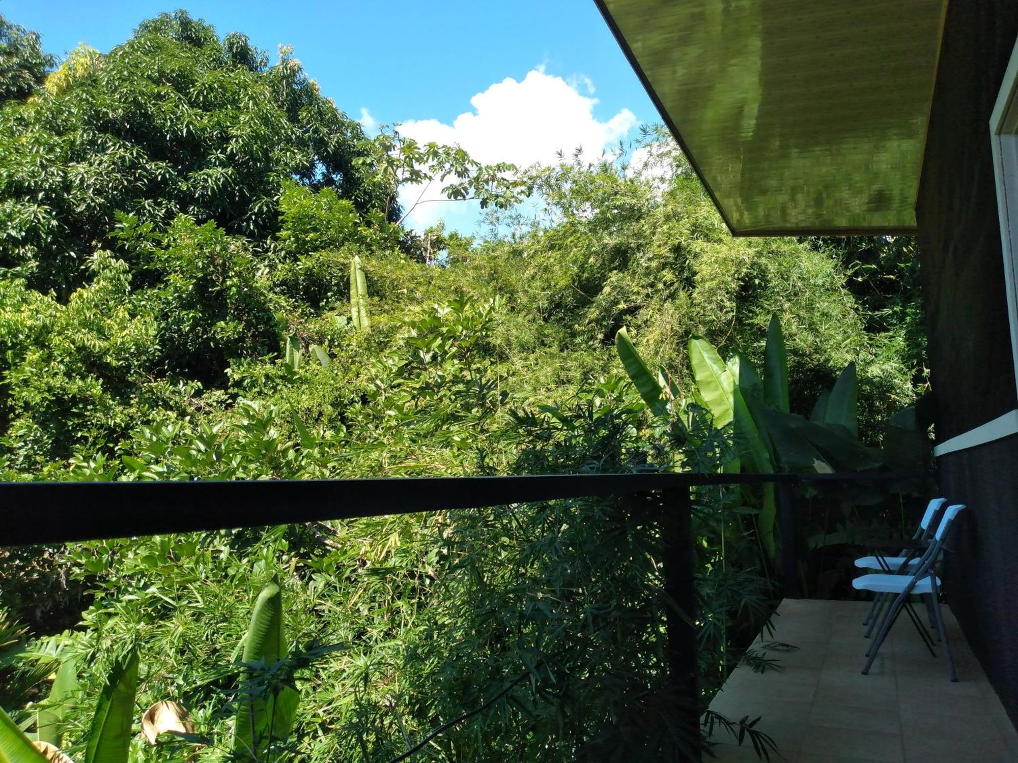 Cabinas Fave Uvita Buitenkant foto