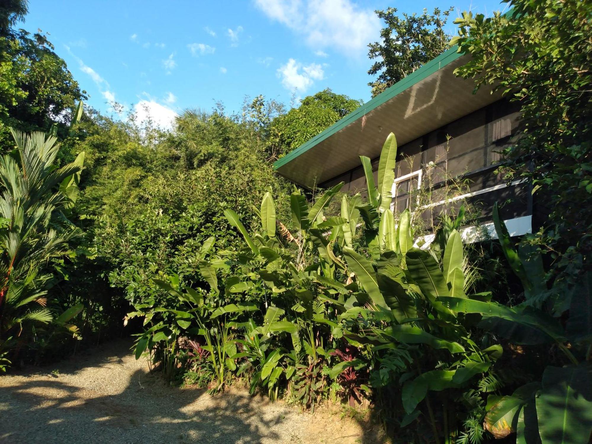 Cabinas Fave Uvita Buitenkant foto