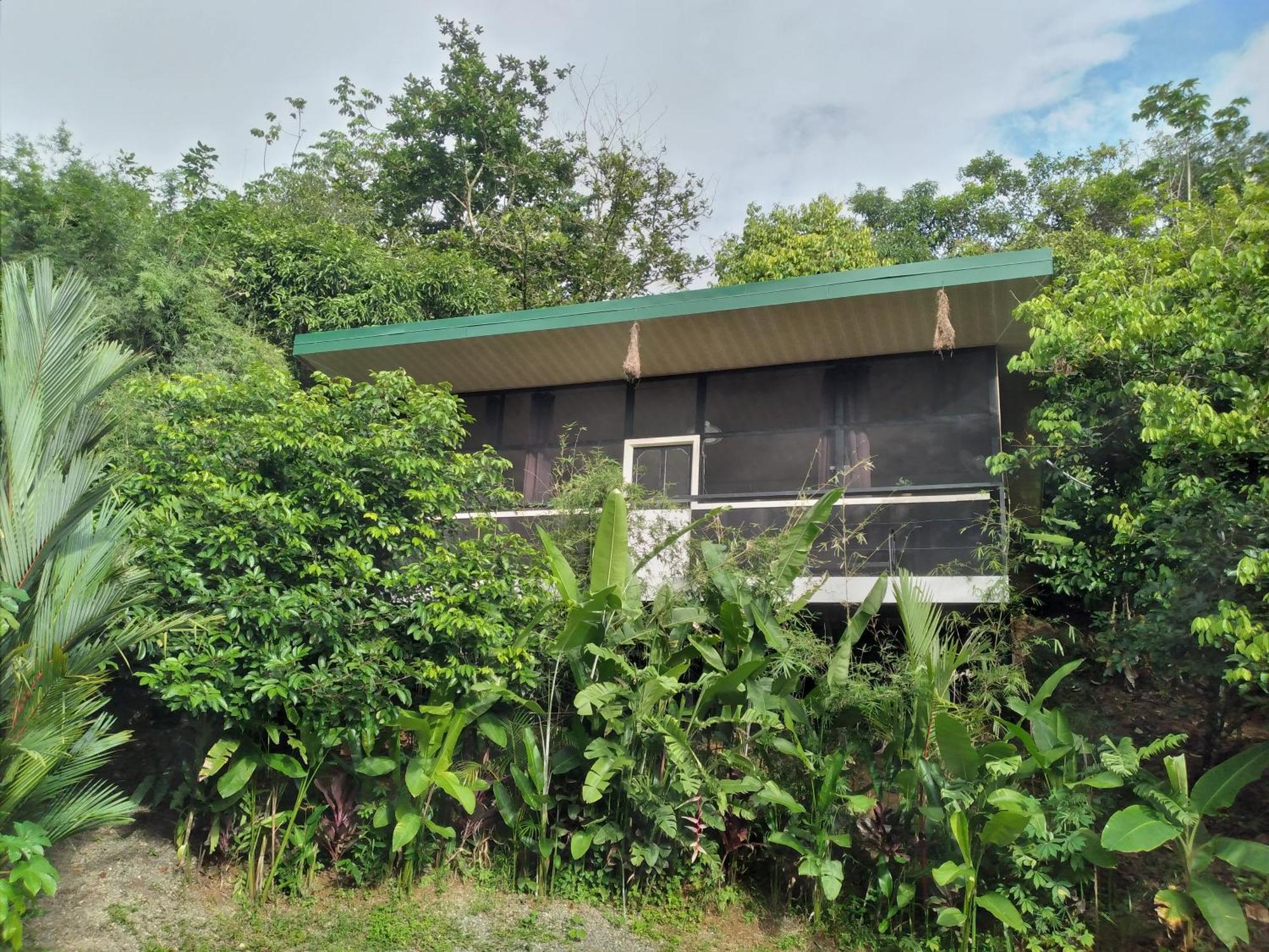 Cabinas Fave Uvita Buitenkant foto