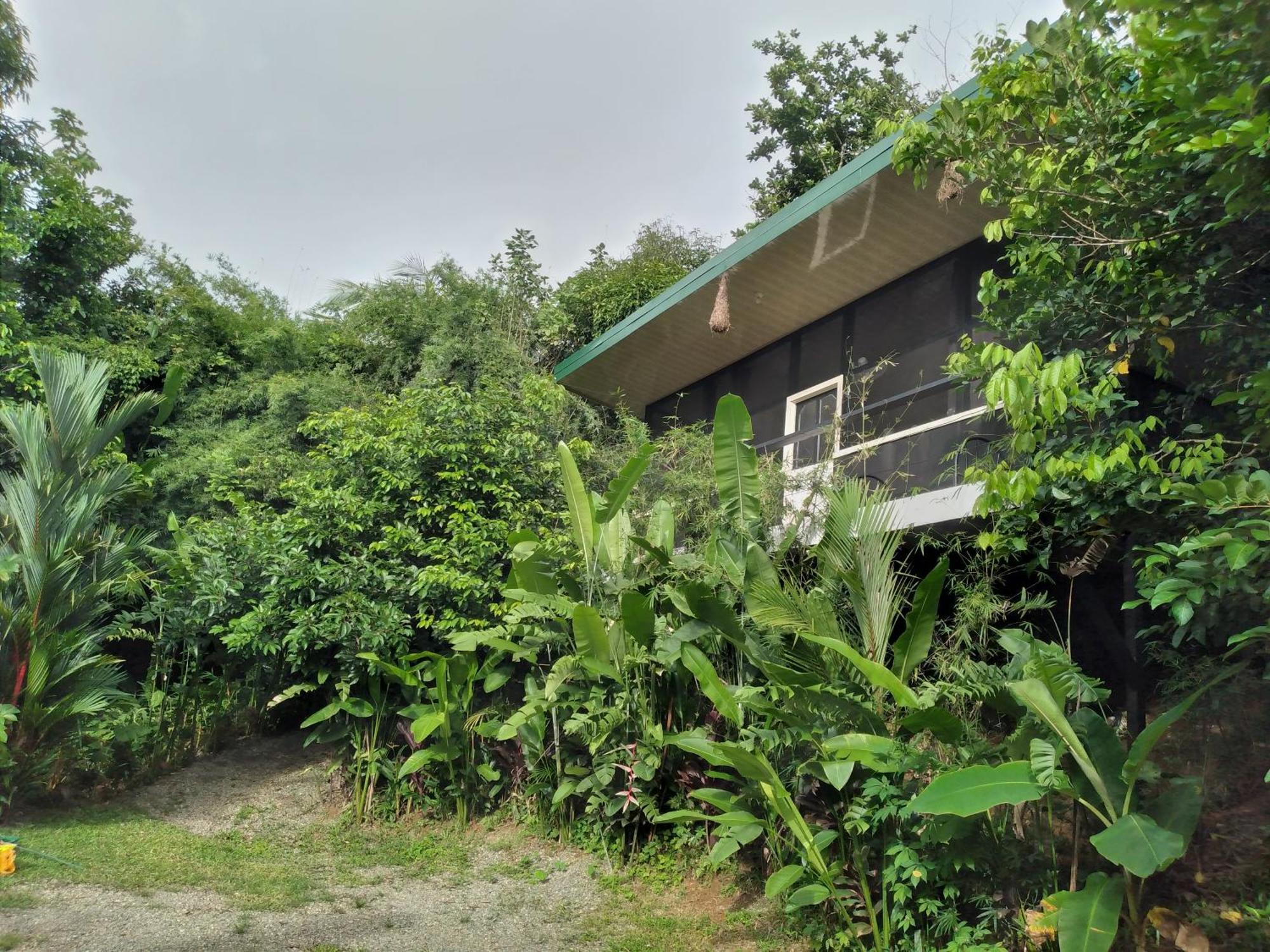 Cabinas Fave Uvita Buitenkant foto