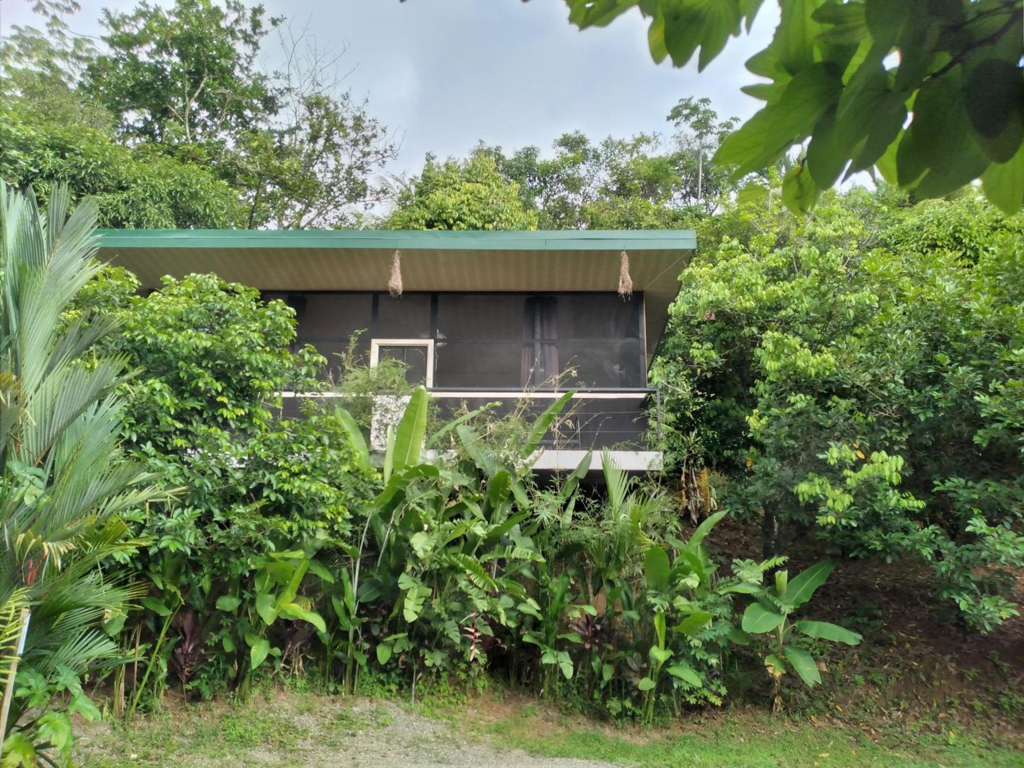 Cabinas Fave Uvita Buitenkant foto