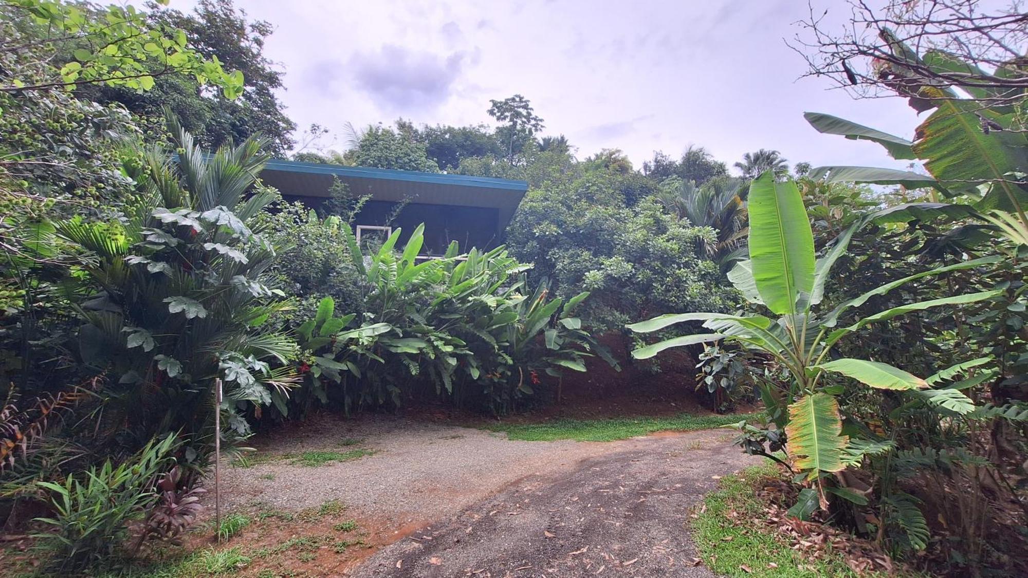 Cabinas Fave Uvita Buitenkant foto